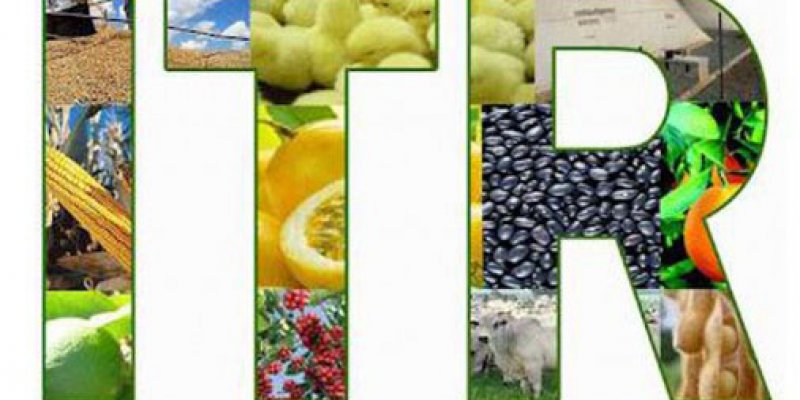 ITR 2015: produtores rurais devem entregar declara&ccedil;&atilde;o at&eacute; o final deste m&ecirc;s