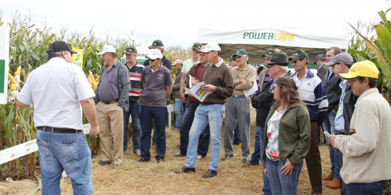 Produtores analisam h&iacute;bridos e conhecem novas tecnologias no Dia de Campo do Milho Safrinha Copagril