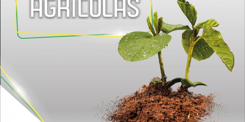 Iniciado Concurso de Projetos Agr&iacute;colas dos Jovens da Copagril