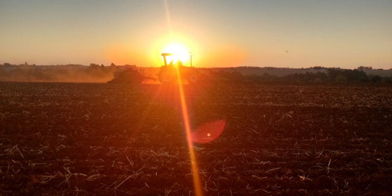 Plantio de soja do Concurso de Projetos Agr&iacute;colas da ACJC chega &agrave; reta final