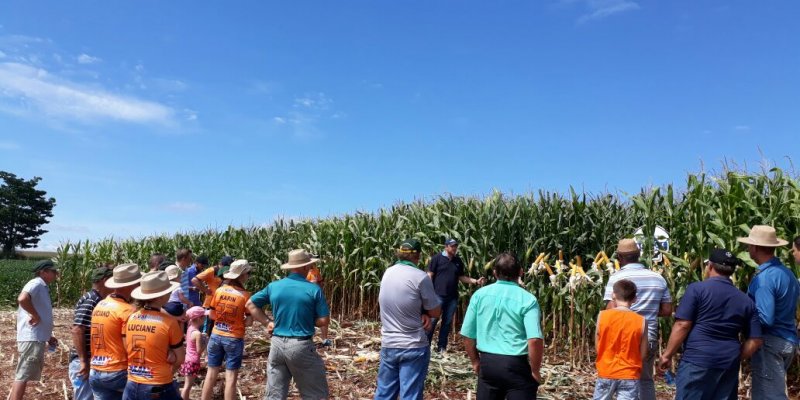 Comit&ecirc;s de jovens da Copagril realizam dias de campo dos Projetos Agr&iacute;colas