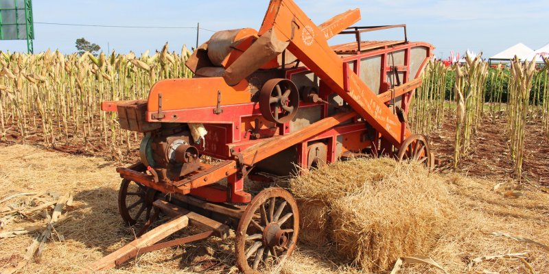 Dia de Campo Copagril: hist&oacute;ria da agricultura ser&aacute; representada por trilhadeira de 1974