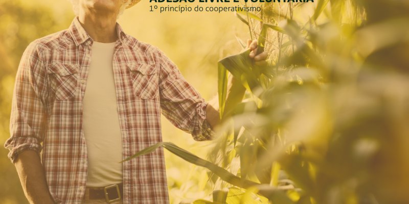 Campanha publicit&aacute;ria da Copagril difunde os 7 princ&iacute;pios do cooperativismo