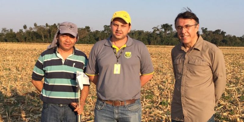Pesquisador recomenda antecipa&ccedil;&atilde;o do controle de plantas daninhas