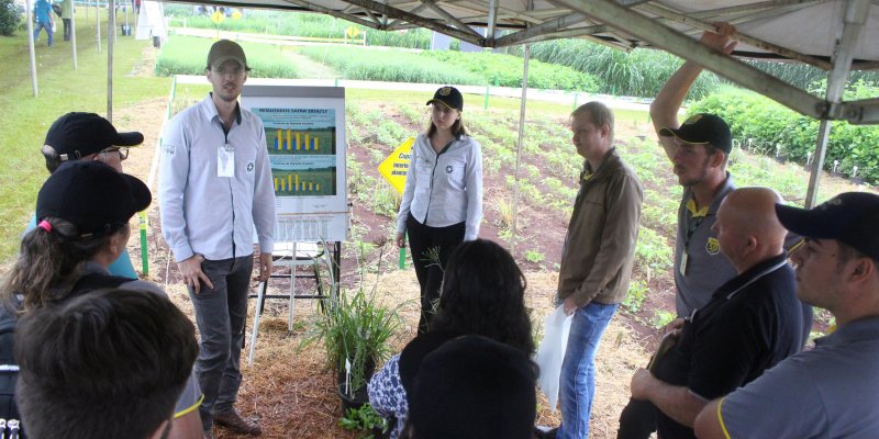 Difus&atilde;o de conhecimento e tecnologias s&atilde;o focos do setor agron&ocirc;mico da Copagril