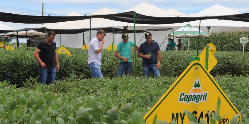 Dia de Campo Copagril 2018 &eacute; conclu&iacute;do com sucesso