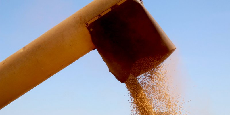 Aumento da produtividade &eacute; respons&aacute;vel por 80% do crescimento da agropecu&aacute;ria