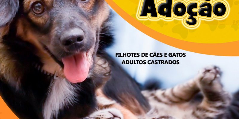 Feira de ado&ccedil;&atilde;o de c&atilde;es e gatos ser&aacute; realizada na Loja Agropecu&aacute;ria Copagril de Marechal Rondon