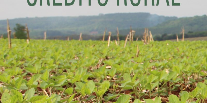 T&eacute;cnicos das cooperativas ser&atilde;o orientados sobre cr&eacute;dito rural 