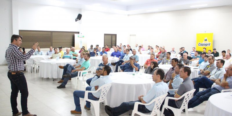 Falta de micronutrientes pode limitar produtividade de soja e milho