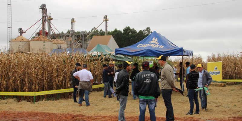 Copagril realiza Dia de Campo Milho Safrinha em Bela Vista