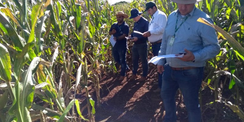 Copagril recebe visita t&eacute;cnica de pesquisadores do Iapar
