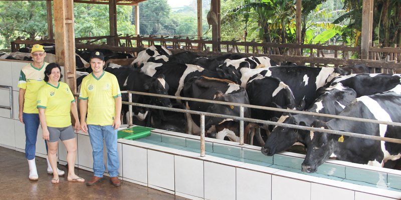 Sombra e &aacute;gua fresca: bem-estar das vacas favorece a produtividade de leite