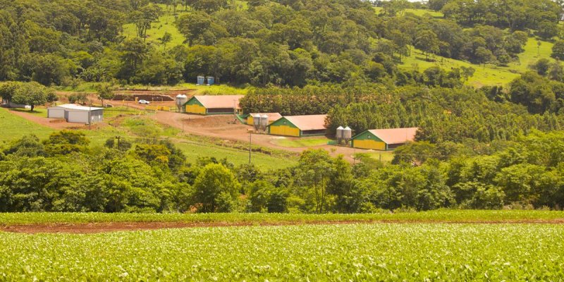 Propriet&aacute;rios de im&oacute;veis rurais j&aacute; podem emitir o CCIR 2019