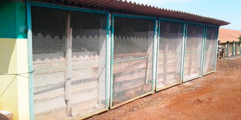 Produtores devem ter aten&ccedil;&atilde;o especial no manejo da composteira