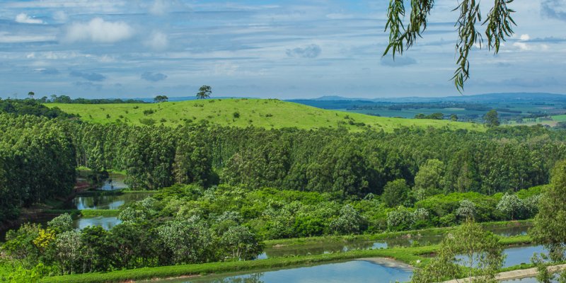 IAP e &oacute;rg&atilde;os ambientais passam a fazer parte do novo instituto do Paran&aacute;