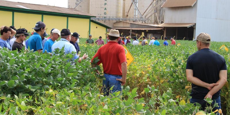 Copagril realiza Dia de Campo Cultivares de Soja em Bela Vista