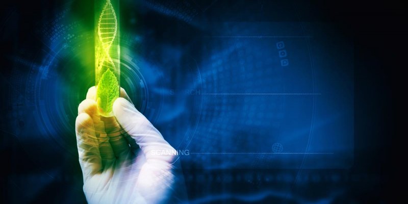 Biotecnologia: sistemas mais produtivos e sustent&aacute;veis