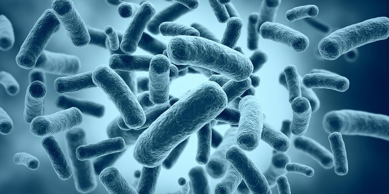 Impactos das micotoxinas na produ&ccedil;&atilde;o de leite