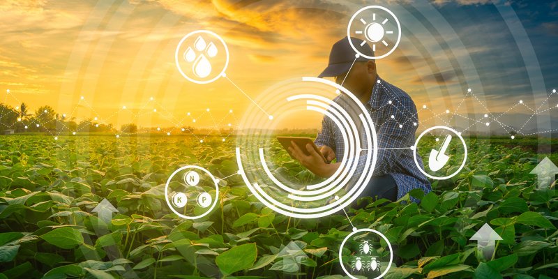 Intelig&ecirc;ncia artificial aplicada na agricultura