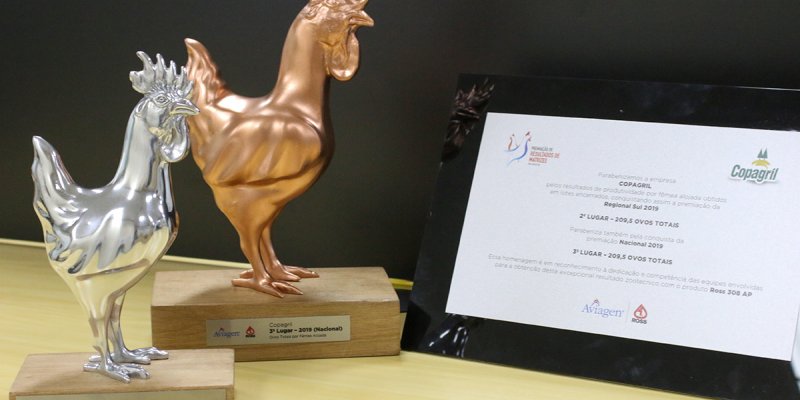 Copagril recebe pr&ecirc;mio nacional em produ&ccedil;&atilde;o de ovos f&eacute;rteis