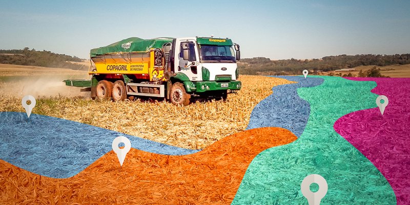 Manejo nutricional do solo &eacute; ferramenta para produtividade