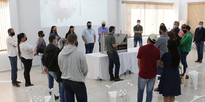 Suinocultores da Copagril participam de palestra sobre manejo de creche