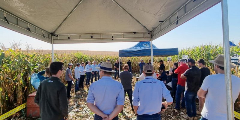 Sudoeste do Paran&aacute; teve Dia de Campo Safrinha Copagril