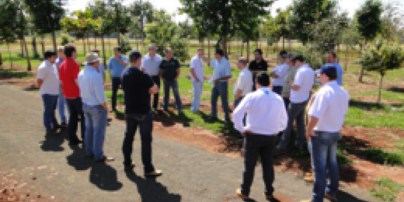 Dia de Campo Copagril 2013: preparativos j&aacute; iniciaram!                              