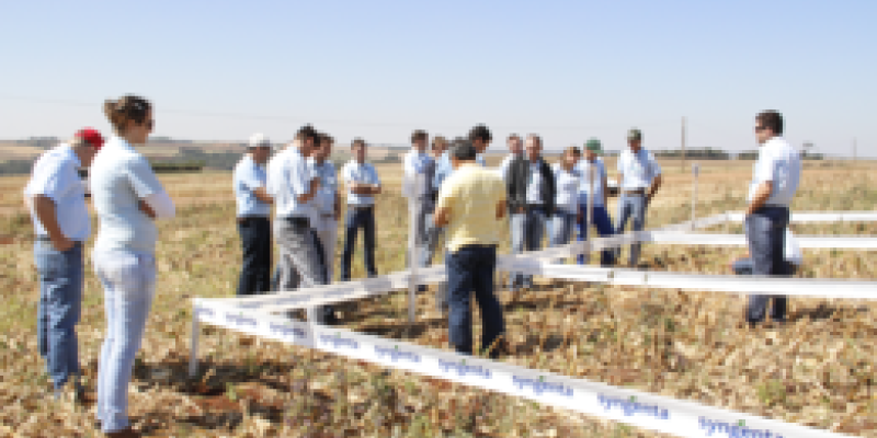 Copagril organiza Curso de Atualiza&ccedil;&atilde;o T&eacute;cnica Agron&ocirc;mica                              