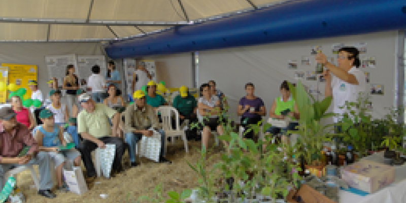 &Aacute;rea Social da Copagril mostrar&aacute; suas atividades no Dia de Campo 2013                              