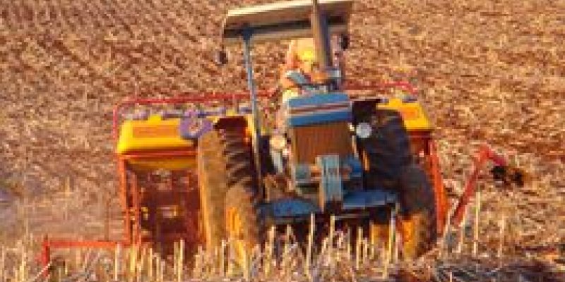 Mais de 50% do plantio do milho safrinha na &aacute;rea de a&ccedil;&atilde;o da Copagril est&aacute; conclu&iacute;do                 