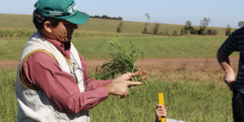 Produtores participam de treinamento sobre manejo de pastagens