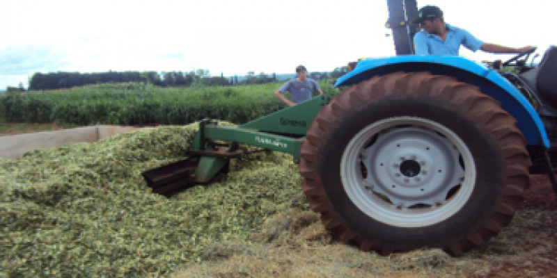 Silagem de qualidade e fertilidade do solo                              
