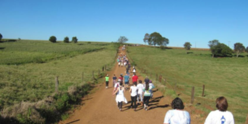Semana do Meio Ambiente &eacute; encerrada com caminhada na natureza                              