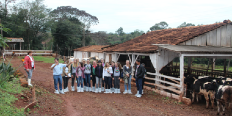 Acad&ecirc;micos de zootecnia da Unioeste visitam criat&oacute;rio de bezerras                              