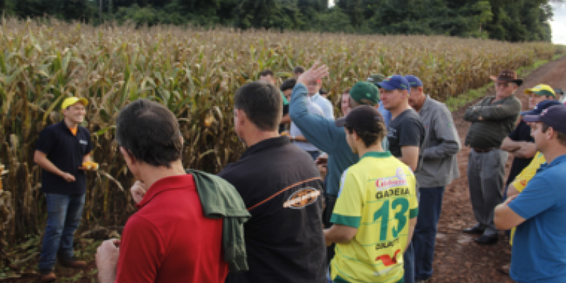 Associados participam de Dia de Campo &ndash; Produtos Agr&iacute;colas                              
