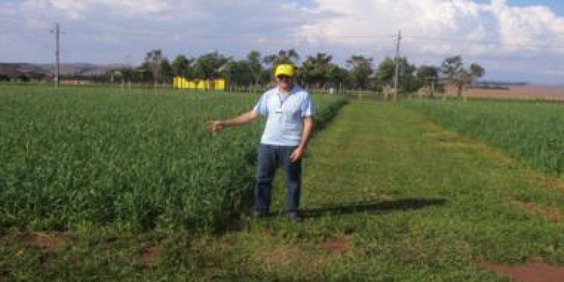 Esta&ccedil;&atilde;o Experimental j&aacute; prepara Dia de Campo 2014
