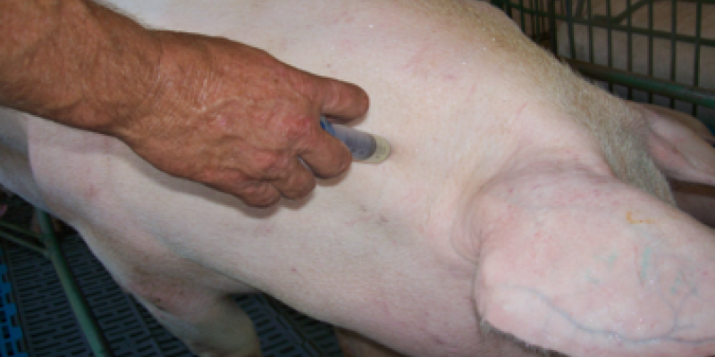 Programa de recebimento de embalagens de produtos veterin&aacute;rios