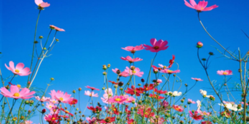 Primavera ter&aacute; calor de baixa intensidade na regi&atilde;o Sul