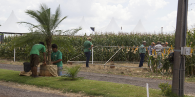 Biotecnologia ser&aacute; destaque do Dia de Campo Copagril