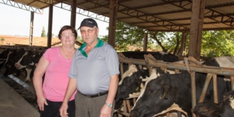  Associado da Copagril obt&eacute;m certifica&ccedil;&atilde;o de propriedade livre de brucelose e tuberculose