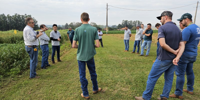 Copagril, IDR-Paran&aacute; e Unioeste avaliam plantas de cobertura na Esta&ccedil;&atilde;o Experimental