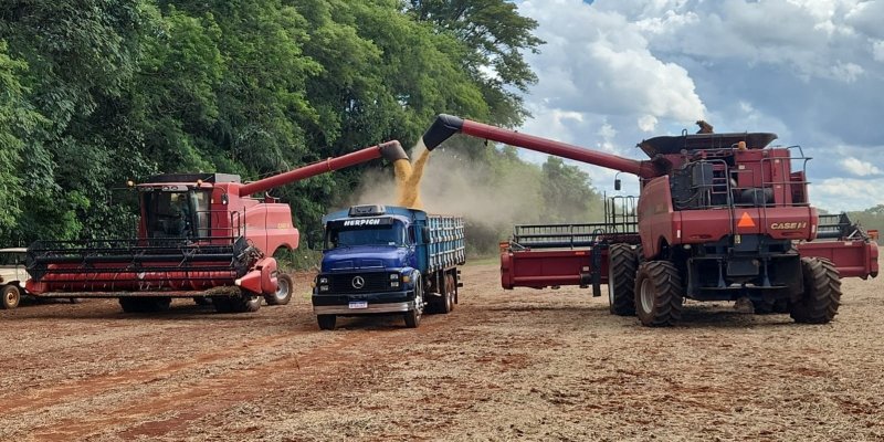 Copagril recebe primeira soja da safra 2025/2026 em dezembro e marca in&iacute;cio antecipado da colheita